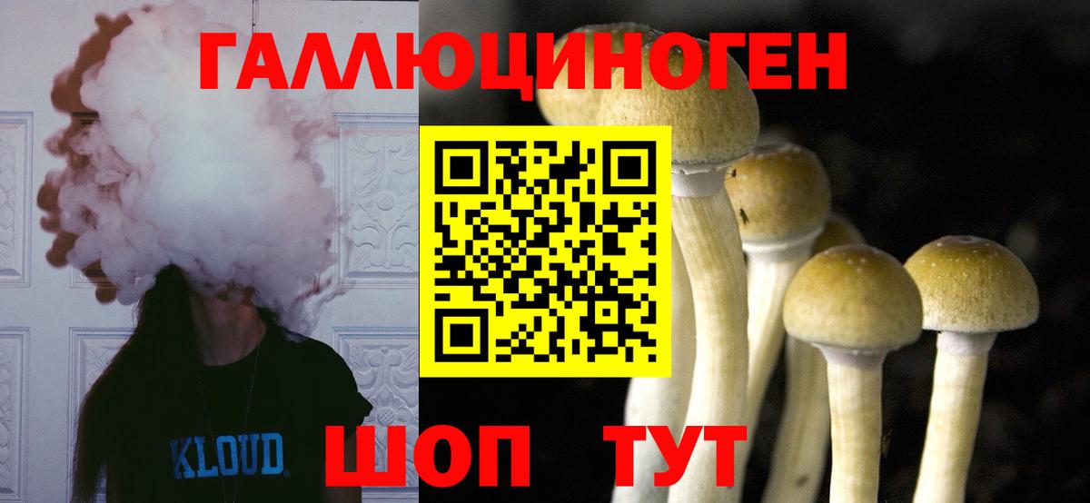 Галлюциногенные грибы ЛСД Балашов